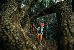 BIB: 
                            <button type="button" onclick="openModal(25669713)" class="btn btn-primary btn-sm float-right btn-popup" data-toggle="modal" data-target=".modal-high-quality">
                        <i class="fas fa-shopping-cart"></i> Add to Cart
                    </button>
                                            <button type="button" onclick="isThisMe(25669713, true)" class="btn btn-success btn-sm float-right btn-popup btn-isme hidden" data-toggle="tooltip" data-placement="bottom" title="นี่คือรูปของคุณใช่ไหม คลิกที่นี่เพื่อเอาเข้าอัลบั้ม">
                        <i class="fas fa-plus"></i> Add to album
                    </button>
                    <button type="button" onclick="isThisMe(25669713, false)" class="btn btn-warning btn-sm float-right btn-popup btn-isnotme hidden">
                        <i class="fas fa-ban"></i> Remove from album
                    </button>